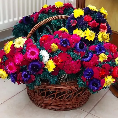 My Cozy Place Апартаменти *