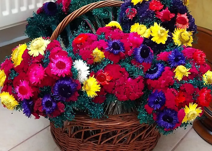 My Cozy Place Appartamento *