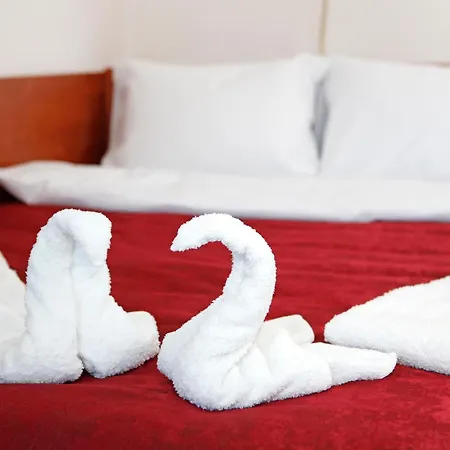 My Cozy Place Appartement